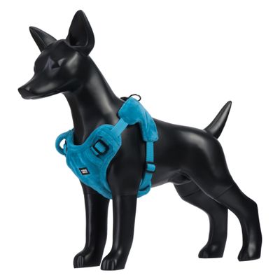 Rukka Geschirr Tiny, blau