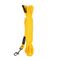 Icepeak Pet Guinzaglio Galleggiante Tg. M: 6 m di lungh., 0,6 cm di largh.