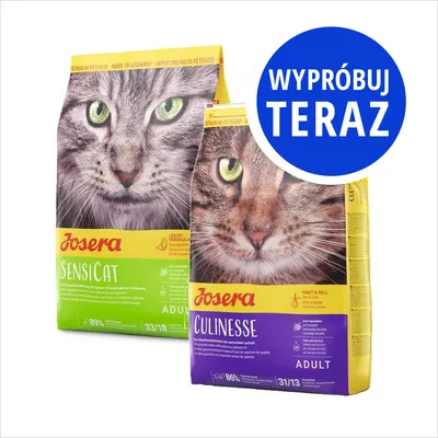 Dwie torby karmy Josera dla kotów: SensiCat i Culinesse, widoczne napisy ADULT, 89% i 86%, 33/18 i 31/13. Niebieskie koło z tekstem: WYPRÓBUJ TERAZ.