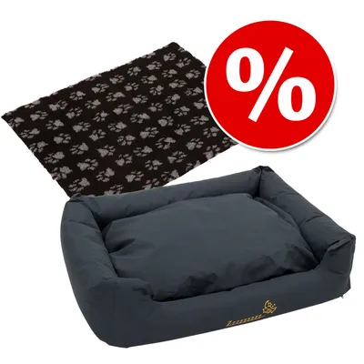 Hundebett in Dunkelgrau mit Logo und schwarze Decke mit Pfotenmuster. Rotes Prozentzeichen für Rabattaktion.