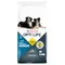 Opti Life Senior Medium & Maxi pour chien 12,5 kg
