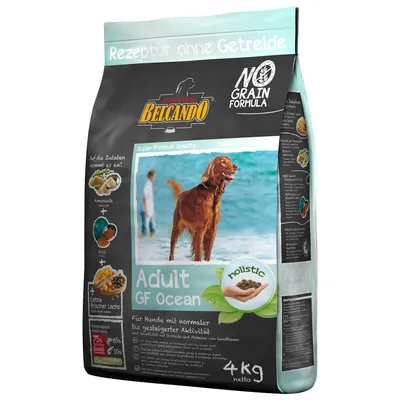 Saco de pienso para perros Belcando Adult GF Ocean, 4 kg, sin cereales. Texto visible: 'No Grain Formula', 'holistic', ingredientes como amaranto, krill y salmón fresco.