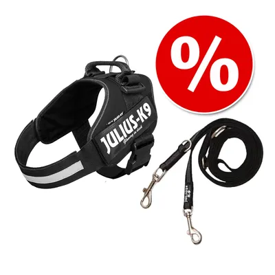 Harnais noir JULIUS-K9 avec laisse assortie, texte visible : 'JULIUS-K9', symbole de pourcentage blanc sur fond rouge indiquant une offre ou promotion.