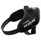 Harnais Julius-K9 IDC® Power, noir pour chien taille Mini : tour de poitrail 49 - 67 cm
