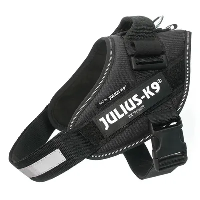 Sort hundesele med teksten JULIUS-K9 IDC-POWER og IDC by JULIUS-K9. Selen har spænde, håndtag og reflekterende bånd.