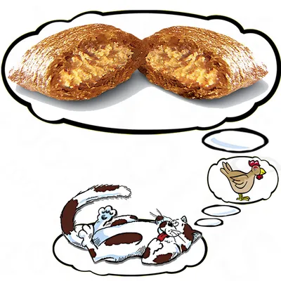 Ilustración de un gato pensando en una gallina y en dos croquetas rellenas, mostrando el interior del alimento para gatos.