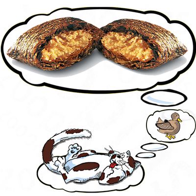 Illustration d’un chat allongé rêvant d’une croquette fourrée, avec une bulle montrant un canard. Croquette coupée en deux visible dans une grande bulle de pensée.