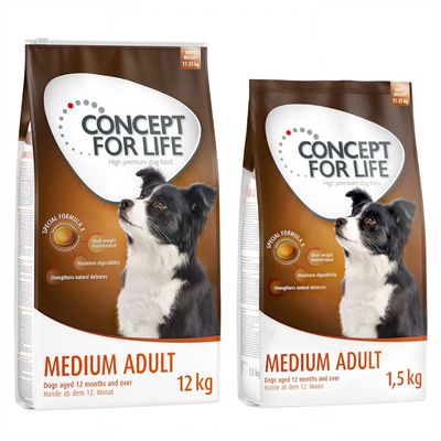 12 kg + 1,5 kg gratis! 13,5 kg Concept for Life Hrană uscată câini