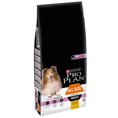 PURINA PRO PLAN ALL SIZE Performance ADULT hundefoder, OPTIPOWER, Rich in Chicken, billede af hund på forsiden. Synlig tekst: Opti Nutrition, Superior Level of Endurance.