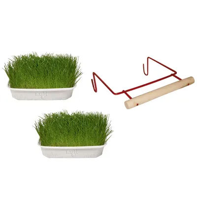 Deux bacs de germination d’herbe à chat avec le nom 'mucki' visible et un support en métal rouge avec poignée en bois clair, tous les éléments sont montrés séparément.