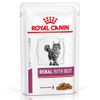 Royal Canin Veterinary Feline Renal Kattenvoer in Saus met Rund 12 x 85 g