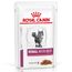 Royal Canin Veterinary Feline Renal Kattenvoer in Saus met Rund 12 x 85 g