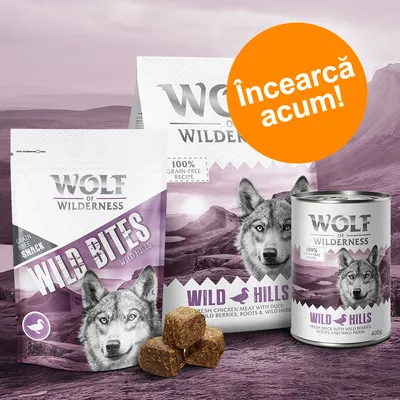 Pachet promoțional Wolf of Wilderness Wild Bites și Wild Hills, conserve și snack-uri fără cereale, cu imagine lup, text vizibil: '100% grain-free recipe', 'Încearcă acum!'.