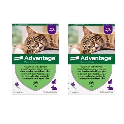 Advantage 80 pour chat et lapin, prévention et traitement des puces chez les chats et lapins de compagnie de 4 kg et plus, boîte 6 x 0,8 ml, solution spot-on 80 mg imidaclopride.