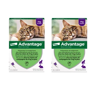 Advantage® 80 pour chat > 4 kg - 10 mois de protection (10 pipettes)
