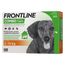 Frontline Combo soluzione spot-on per cani 2-10 kg 3 pipette (0,67 ml)