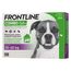 Frontline Combo soluzione spot-on per cani 20-40 kg Set %: 6 pipette (2,68 ml)
