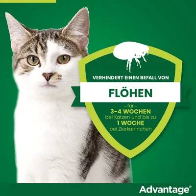 Verhindert einen Befall von Flöhen für 3-4 Wochen bei Katzen und bis zu 1 Woche bei Zierkaninchen. Advantage.