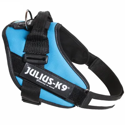 Hondentuig met zichtbaar merk Julius-K9 en tekst 'Glowing in dark', blauwe stof, zwarte banden en metalen ring bovenop.