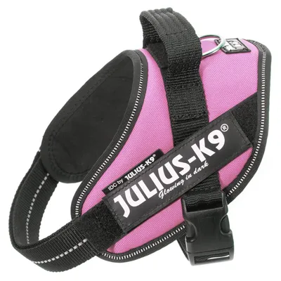 JULIUS-K9 IDC -valjaat, violetti. Teksti: JULIUS-K9 Glowing in dark. Näkyvissä muovinen solki ja metallinen kiinnityslenkki.