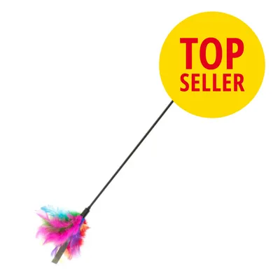 Baguette noire avec plumes multicolores, pastille jaune en haut à droite avec texte anglais « TOP SELLER » en rouge.