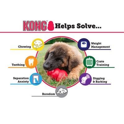 KONG Helps Solve... Chewing, Teething, Separation Anxiety, Boredom, Weight Management, Crate Training, Digging & Barking. Куче с червена играчка KONG.