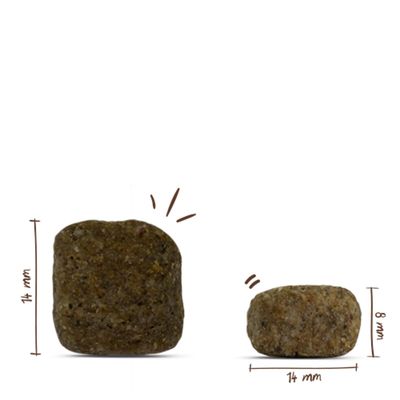 Kroketten mit Abmessungen: 14 mm hoch und breit, Seitenansicht 8 mm hoch. Zeigt Größe und Form der Kroketten.
