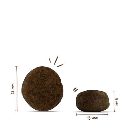Zwei runde Kroketten mit Maßangaben: Durchmesser 13 mm, Höhe 13 mm und 8 mm.