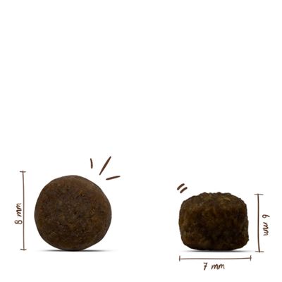 Zwei Kroketten mit Maßangaben: links 8 mm Durchmesser, rechts 7 mm Durchmesser und 6 mm Höhe.