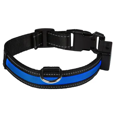 Collar negro para perro con tira LED azul, tamaño ajustable y cierre de clic. Collar negro para perro con tira LED azul, tamaño ajustable y cierre de clic.
