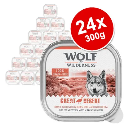 Wolf of Wilderness Great Desert 24x300g, 100% grain-free, turkey with wild berries, roots and wild herbs. Large red label shows pack size. Multiple trays visible in background.