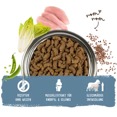 Trockenfutter mit Erbsen, Chicorée, Huhn und Leinsamen. Text: Rezeptur ohne Weizen, Muschelextrakt für Knorpel & Gelenke, gleichmäßige Entwicklung. Trockenfutter mit Erbsen, Chicorée, Huhn und Leinsamen. Text: Rezeptur ohne Weizen, Muschelextrakt für Knorpel & Gelenke, gleichmäßige Entwicklung.