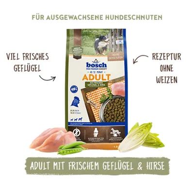 bosch Adult mit frischem Geflügel & Hirse, viel frisches Geflügel, Rezeptur ohne Weizen, für ausgewachsene Hundeschnuten.