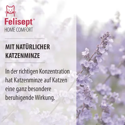 Felisept Home Comfort. Mit natürlicher Katzenminze. In der richtigen Konzentration hat Katzenminze auf Katzen eine ganz besondere beruhigende Wirkung.