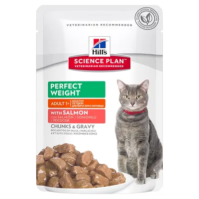 Hill's Science Plan Perfect Weight Adult 1+ with Salmon -kissanruokapakkaus, paloja kastikkeessa. Pakkauksessa harmaa kissa ja teksti: ei keinotekoisia säilöntäaineita, makuja tai värejä.