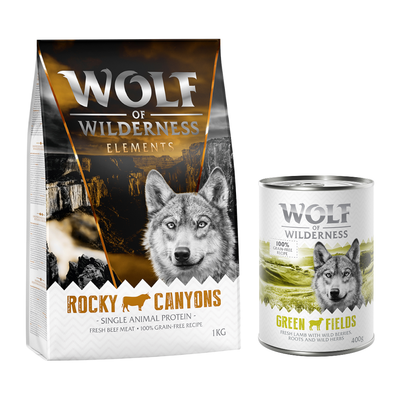 Wolf of Wilderness Green Fields, recette 100 % sans céréales. Sacs et boîte visibles avec texte Bi-nutrition sur rond vert. Texte en anglais : lots of fresh chicken meat with fruits of the forest.