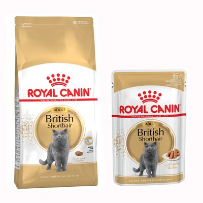 Royal Canin Maine Coon Adult karma dla kotów, opakowanie suchej karmy i saszetka 85 g. Widoczny znak procentowy na czerwonym tle, sugerujący promocję.