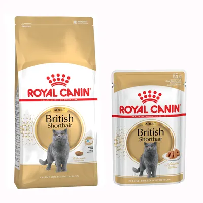 Zestaw Royal Canin Breed, 4 kg + 12 x 85 g karmy mokrej Royal Canin - British Shorthair Adult + Breed British Shorthair, 12 x 85 g