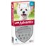 Advantix® 100/500 Spot-On Solution voor Honden 4 - 10 kg Dubbelpak: 2 x 6 Pipetten - NL