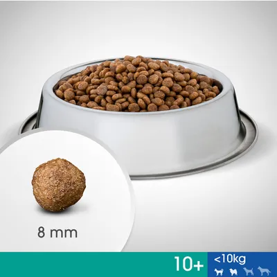 Koiran kuivaruoka metallikulhossa, nappulan koko 8 mm. Kuvassa merkintä: 10+ ja alle 10 kg koirille.