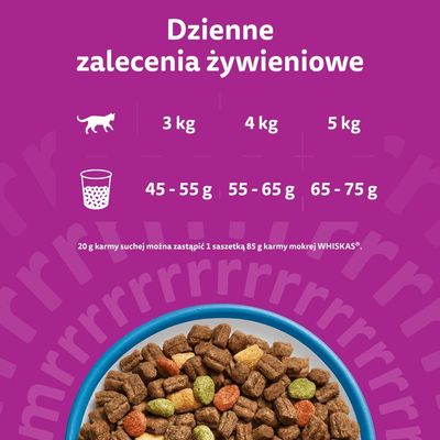 Whiskas 1+ z kurczakiem