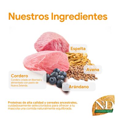 Ingredientes: carne de cordero, arándanos, espelta, avena. Proteínas de alta calidad y cereales ancestrales para una alimentación equilibrada. Marca: N&D Ancestral Grain.