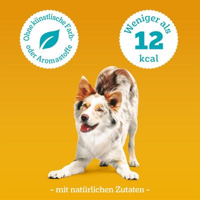 Pedigree Leckerbissen, przysmak dla psa