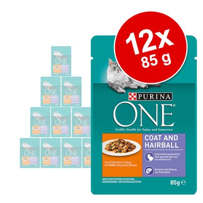 Purina ONE Coat and Hairball kissan märkäruoka, 12 x 85 g annospussia. Pakkauksessa näkyy kanaa ja vihreitä papuja kastikkeessa sekä tuotetiedot englanniksi.