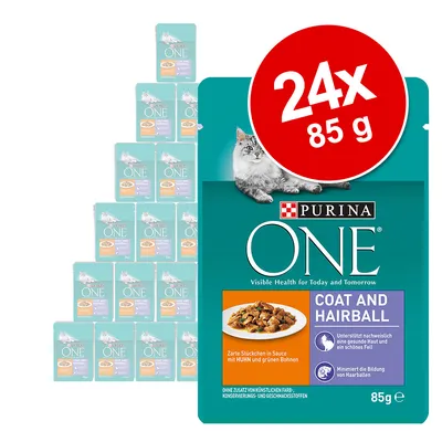 Purina ONE Coat and Hairball -kissan märkäruoka, 24 x 85 g annospussia. Pakkauksessa kuva kissasta ja ruoka-annoksesta. Teksti: Visible Health for Today and Tomorrow.