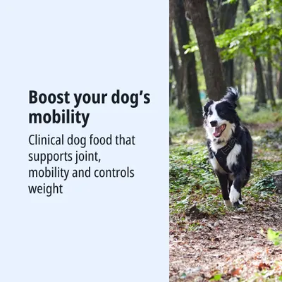 Boost your dog's mobility. Clinical dog food that supports joints, mobility, and controls weight.
