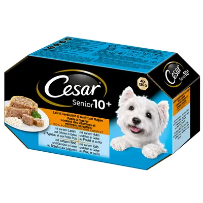 Cesar Senior 10+ hondenvoer, 4 x 150 g. Leicht verdaulich & sanft zum Magen. Met lam, kip, rund en kalf in gelei. Bevat vitaminen en mineralen. Voor senior honden vanaf 10 jaar. Cesar Senior 10+ hondenvoer, 4 x 150 g. Leicht verdaulich & sanft zum Magen. Met lam, kip, rund en kalf in gelei. Bevat vitaminen en mineralen. Voor senior honden vanaf 10 jaar.
