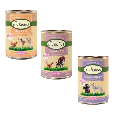 Lukullus Huhn & Kalb Junior, confezione 24x400g. Testo visibile: Extra calcium & phosphorus, mit Haferflocken, Möhre und Leinöl. Immagine di pollo e vitello sulla lattina.