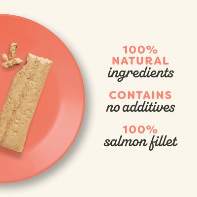 Texto en inglés: 100% natural ingredients, contains no additives, 100% salmon fillet. Imagen de un filete de salmón sobre plato rosa.