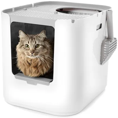 Modkat XL Cat Litter Box - White